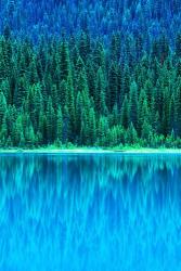 Emerald Lake Boathouse, Yoho National Park, British Columbia, Canada (vertical) | Obraz na stenu