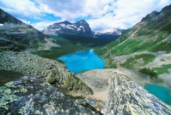 Lake O'Hara, Yoho National Park, British Columbia, Canada | Obraz na stenu