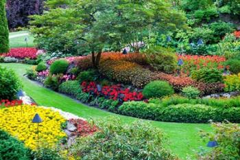 Butchart Gardens in Full Bloom, Victoria, British Columbia, Canada | Obraz na stenu