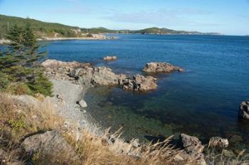 Twillingate Coastline | Obraz na stenu