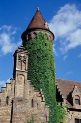 Ivy-Covered Medieval Tower | Obraz na stenu
