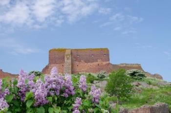 Hammershus Castle Ruins | Obraz na stenu