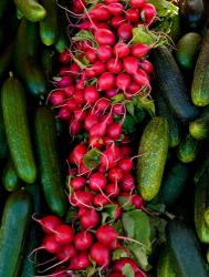 Outdoor Market, Helsinki, Finland | Obraz na stenu