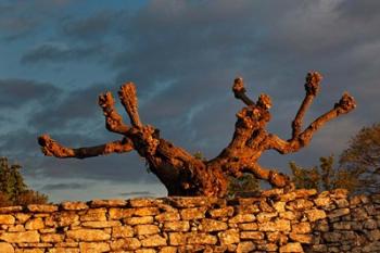 Sunrise in Gordes, France | Obraz na stenu