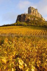 Roche de Solutre above Vineyards, France | Obraz na stenu