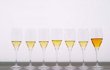 Wine Tasting Glasses, Maison de la Champagne | Obraz na stenu