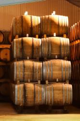 Oak Barrels, Maison Giraud-Hemart | Obraz na stenu