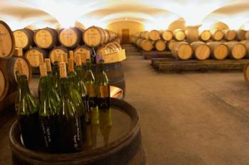 Barrel cellar, Cote d Or, Burgundy, France | Obraz na stenu