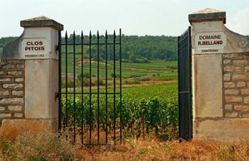 Iron Gate to the Vineyard Clos Pitois | Obraz na stenu