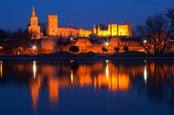 Pope's Palace in Avignon and the Rhone River | Obraz na stenu