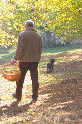 Owner of de la Bergerie Truffles Farm | Obraz na stenu