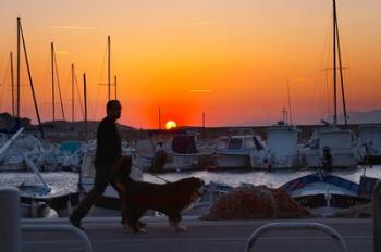 Harbour Boats Moored at Sunset, France | Obraz na stenu