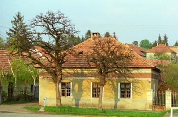 House in Tokaj Village, Mad, Hungary | Obraz na stenu