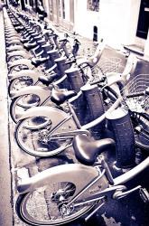 Velib Bicycles For Rent, Paris, France | Obraz na stenu