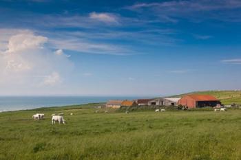 Farm by Cap Blanc Nez, Escalles | Obraz na stenu