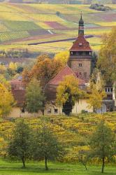 Church And Vineyards, Germany | Obraz na stenu