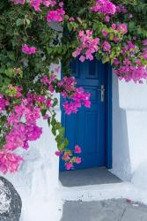 Greece, Santorini A Picturesque Blue Door Is Surrounded By Pink Bougainvillea In Firostefani | Obraz na stenu