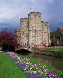 River Stour, Canterbury, Kent, England | Obraz na stenu