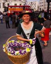 Flower Vendor, London, England | Obraz na stenu