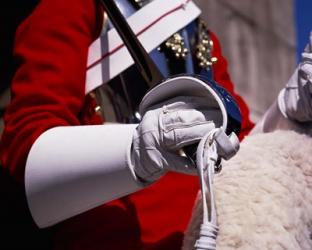 Lifegaurd at Horseguards Parade, London, England | Obraz na stenu