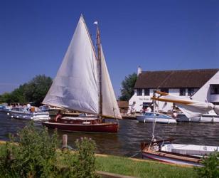 Horning, Norfolk Broads, Norfolk, England | Obraz na stenu