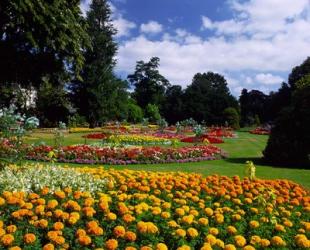 Jephson Gardens at Royal Leamington Spa, Warwickshire, England | Obraz na stenu