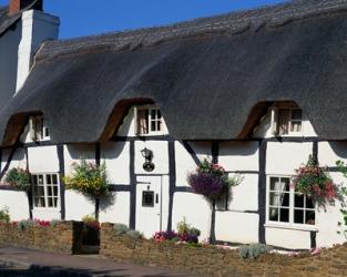 Thatched Cottage, Warwickshire, England | Obraz na stenu