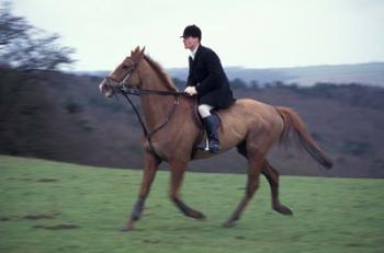 Horseback riding, Leicestershire, England | Obraz na stenu