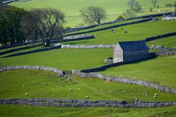 Farmland, Stone Walls and Buildings, near Malham, Yorkshire Dales, North Yorkshire, England | Obraz na stenu