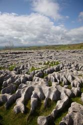 Limestone Pavement, Malham Cove, Yorkshire Dales National Park, North Yorkshire, England | Obraz na stenu