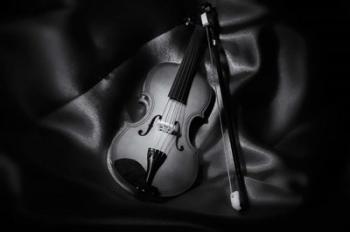 Still-Life Black And White Image Of A Violin | Obraz na stenu