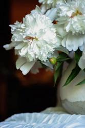 White Peonies In Cream Pitcher 4 | Obraz na stenu