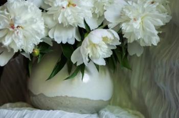 White Peonies In Cream Pitcher 5 | Obraz na stenu