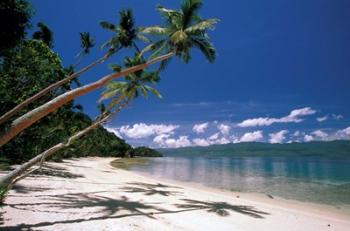 Oceania, Fiji Island | Obraz na stenu