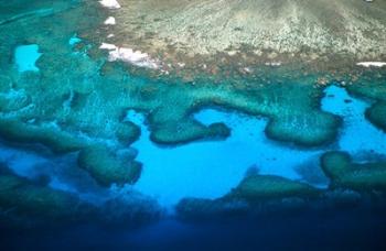 Coral Reefs of Mamanuca Island Group, Fiji | Obraz na stenu