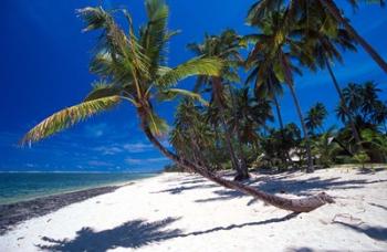 Tambua Sands,Fiji | Obraz na stenu