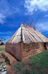 Traditional Bure, Vatukarasa Village, Fiji | Obraz na stenu