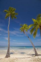 Hammock and palm trees, Plantation Island Resort, Malolo Lailai Island, Mamanuca Islands, Fiji | Obraz na stenu