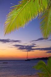 Palm trees and sunset, Plantation Island Resort, Malolo Lailai Island, Mamanuca Islands, Fiji | Obraz na stenu