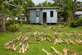 Iron house, Namaqumaqua village, Viti Levu, Fiji | Obraz na stenu