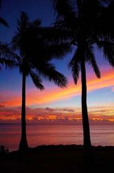 Sunset and palm trees, Coral Coast, Viti Levu, Fiji | Obraz na stenu