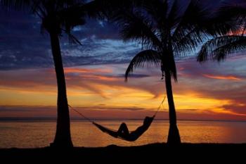 Hammock, Travel, Fiji | Obraz na stenu