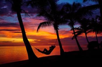 Hammock, Travel, Coral Coast, Viti Levu, Fiji | Obraz na stenu