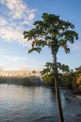 Sunset over the beach, Nacula island, Yasawa, Fiji, South Pacific | Obraz na stenu