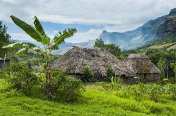 Traditional thatched roofed huts in Navala, Fiji | Obraz na stenu