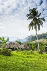 Traditional thatched roofed huts in Navala in the Ba Highlands of Viti Levu, Fiji, South Pacific | Obraz na stenu