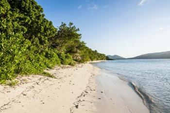 White sandy beach, Fiji | Obraz na stenu