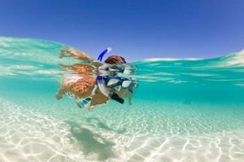 Couple snorkeling, Beqa Island, Fiji | Obraz na stenu