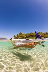 Snorkeling, Beqa Island, Fiji | Obraz na stenu