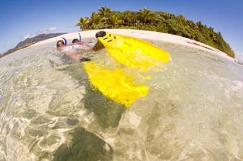 Couple snorkeling near Beqa Lagoon, Fiji | Obraz na stenu